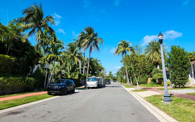 Una calle residencial con palmeras en Miami Beach